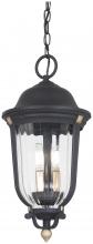Minka-Lavery 73236-738 - 3 Light Outdoor Chain Hung