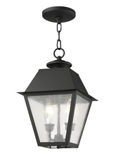 Livex Lighting 2167-04 - 2 Light Black Outdoor Chain Lantern