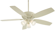 Ceiling Fans